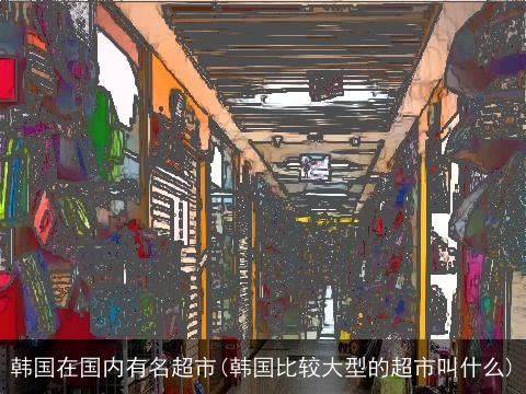 韩国在国内有名超市(韩国比较大型的超市叫什么)