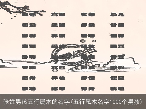 张姓男孩五行属木的名字(五行属木名字1000个男孩)