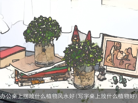 办公桌上摆放什么植物风水好(写字桌上放什么植物好)