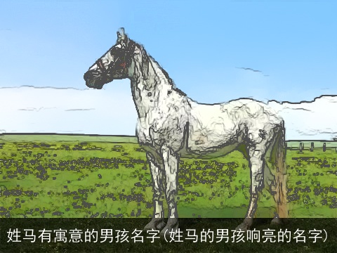 姓马有寓意的男孩名字(姓马的男孩响亮的名字)