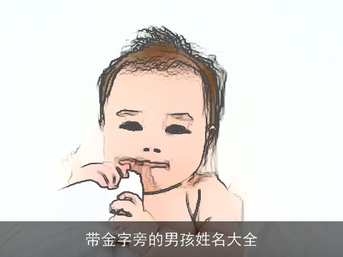 带金字旁的男孩姓名大全