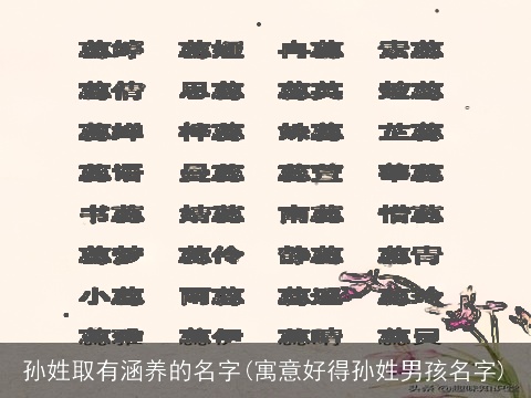 孙姓取有涵养的名字(寓意好得孙姓男孩名字)