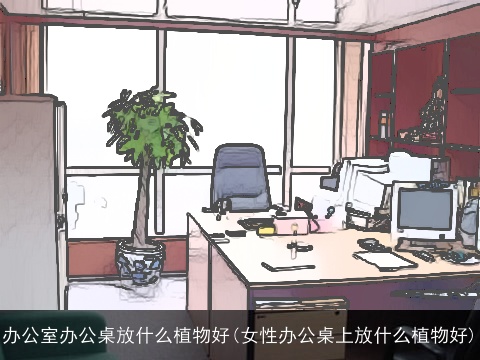 办公室办公桌放什么植物好(女性办公桌上放什么植物好)