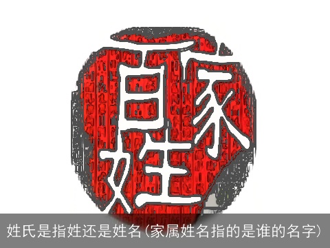 姓氏是指姓还是姓名(家属姓名指的是谁的名字)