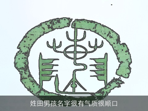 姓田男孩名字很有气质很顺口