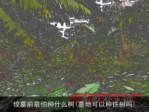 坟墓前最怕种什么树(墓地可以种铁树吗)