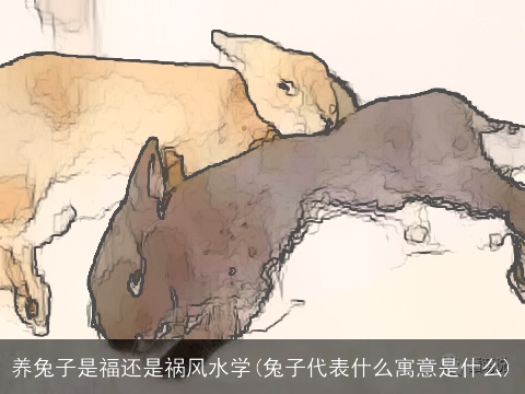 养兔子是福还是祸风水学(兔子代表什么寓意是什么)