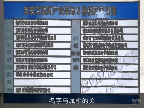 名字与属相的关