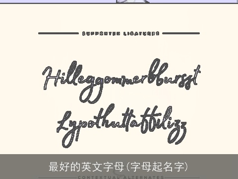 最好的英文字母(字母起名字)