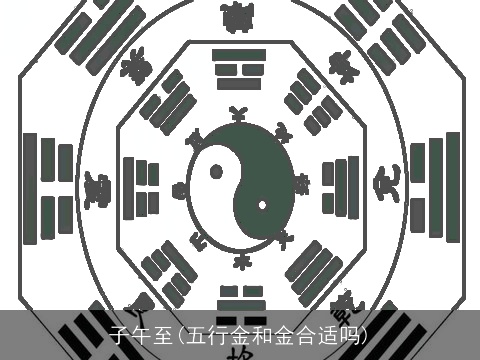 子午至(五行金和金合适吗)