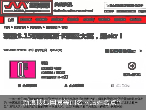 新浪搜狐网易等闻名网站姓名点评