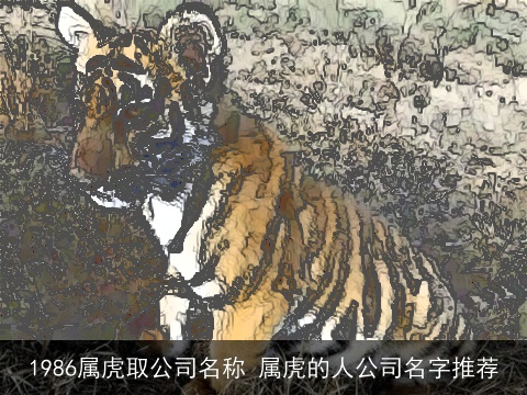1986属虎取公司名称 属虎的人公司名字推荐