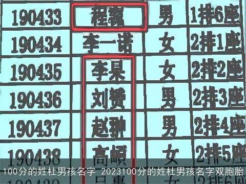 100分的姓杜男孩名字 2023100分的姓杜男孩名字双胞胎