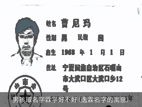 男孩取名字霖字好不好(逸霖名字的寓意)