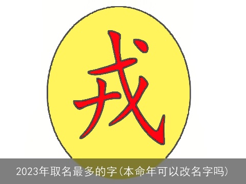 2023年取名最多的字(本命年可以改名字吗)
