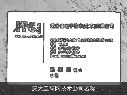 深大互联网技术公司名称