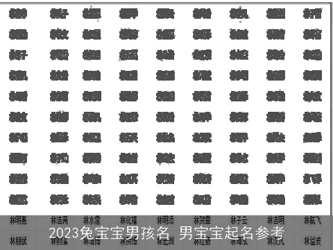 2023兔宝宝男孩名 男宝宝起名参考