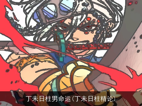 丁未日柱男命运(丁未日柱精论)