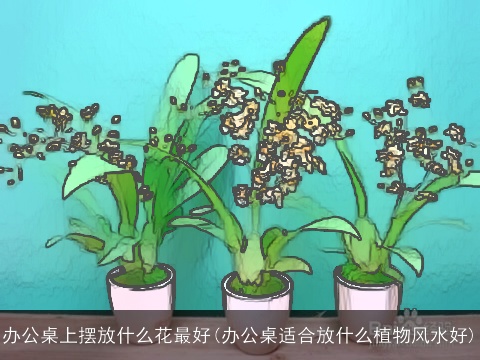 办公桌上摆放什么花最好(办公桌适合放什么植物风水好)