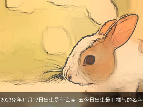 2023兔年11月19日出生是什么命 五今日出生最有福气的名字