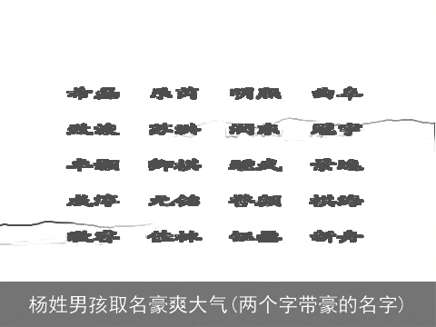 杨姓男孩取名豪爽大气(两个字带豪的名字)