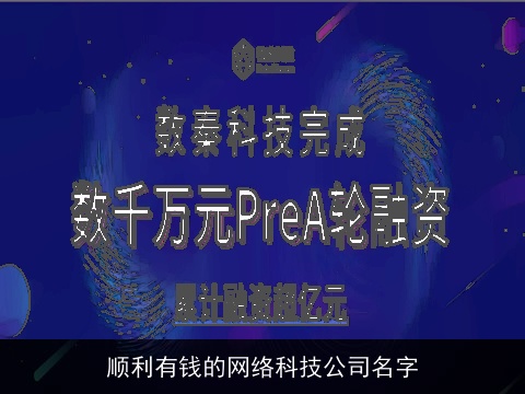 顺利有钱的网络科技公司名字