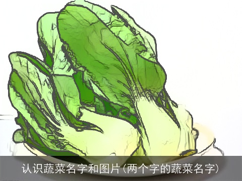认识蔬菜名字和图片(两个字的蔬菜名字)