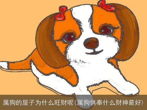 属狗的屋子为什么旺财呢(属狗供奉什么财神最好)