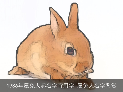 1986年属兔人起名字宜用字 属兔人名字鉴赏