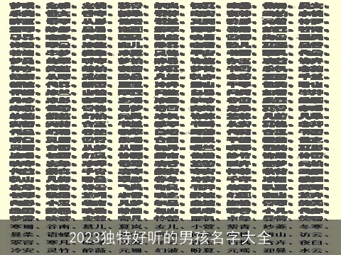 2023独特好听的男孩名字大全