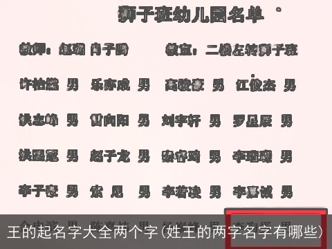 王的起名字大全两个字(姓王的两字名字有哪些)