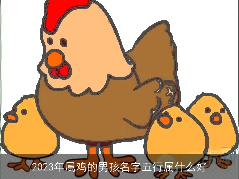 2023年属鸡的男孩名字五行属什么好