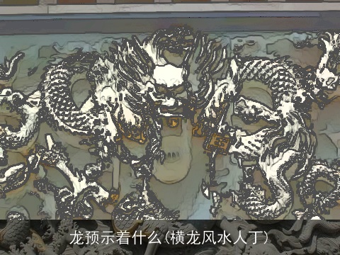 龙预示着什么(横龙风水人丁)