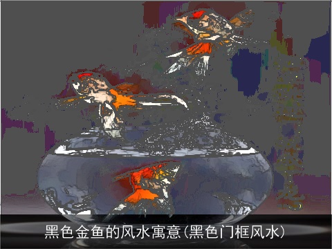 黑色金鱼的风水寓意(黑色门框风水)