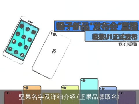 坚果名字及详细介绍(坚果品牌取名)