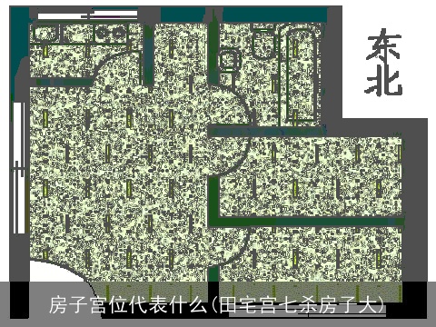 房子宫位代表什么(田宅宫七杀房子大)