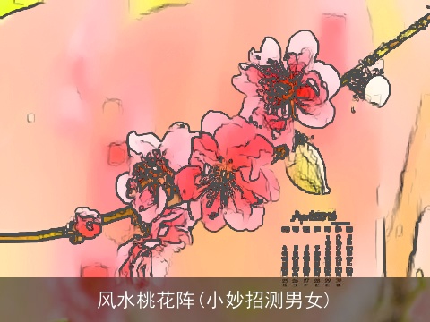 风水桃花阵(小妙招测男女)