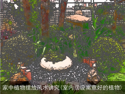 家中植物摆放风水讲究(室内摆设寓意好的植物)