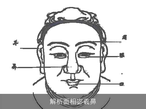 解析面相宓羲鼻