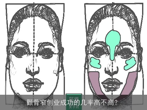 颧骨窄创业成功的几率高不高？