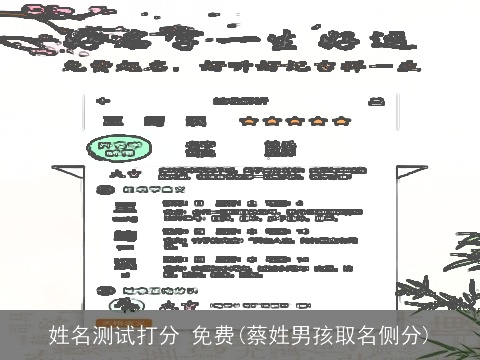 姓名测试打分 免费(蔡姓男孩取名侧分)
