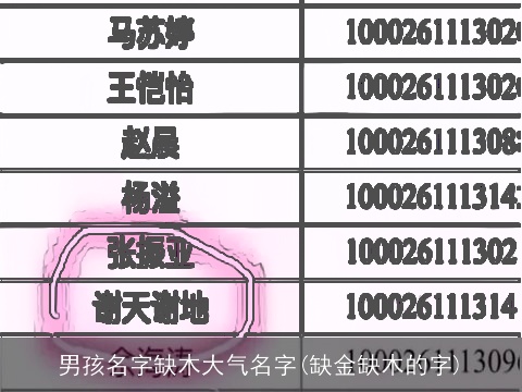 男孩名字缺木大气名字(缺金缺木的字)