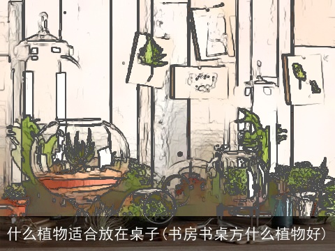 什么植物适合放在桌子(书房书桌方什么植物好)