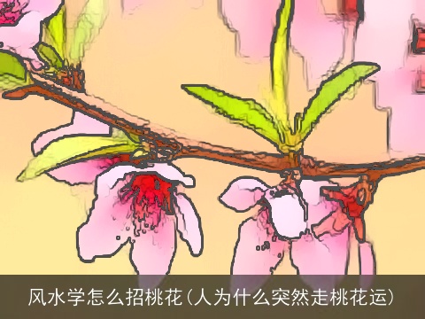 风水学怎么招桃花(人为什么突然走桃花运)