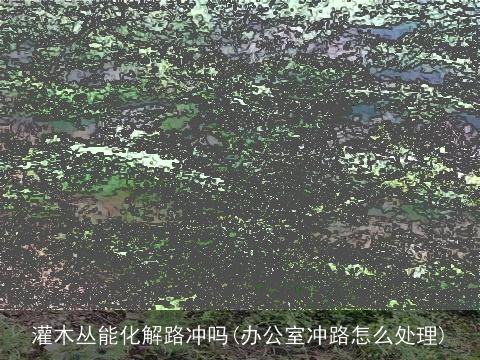 灌木丛能化解路冲吗(办公室冲路怎么处理)