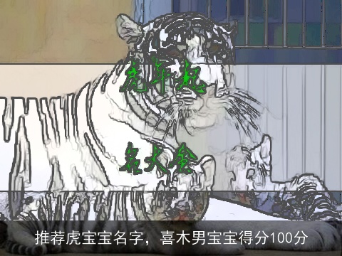 推荐虎宝宝名字，喜木男宝宝得分100分