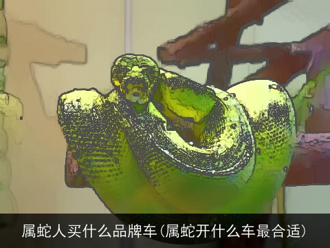 属蛇人买什么品牌车(属蛇开什么车最合适)