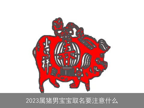 2023属猪男宝宝取名要注意什么