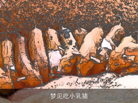 梦见吃小乳猪