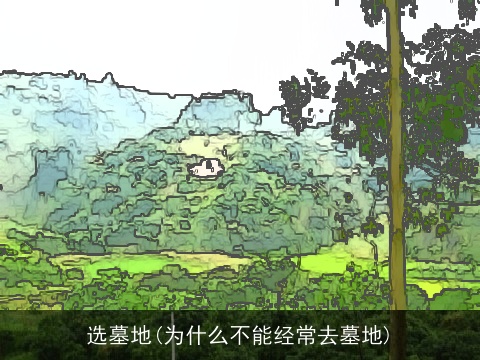 选墓地(为什么不能经常去墓地)